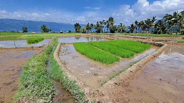 Wisata Bukittinggi