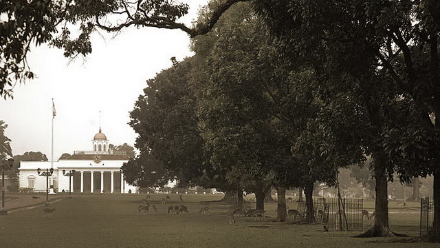 Wisata Istana Bogor