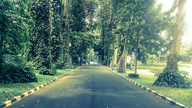 Wisata Kebun Raya Bogor