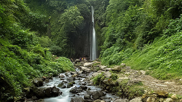 Wisata Kebun Raya Cibodas