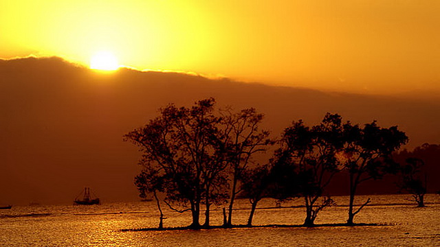 Wisata Pantai Pasir Putih