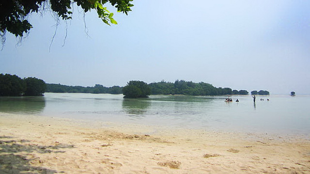 Wisata Pulau Pari