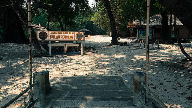 Wisata Pulau Peucang