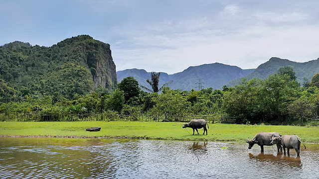 Wisata Sawahlunto