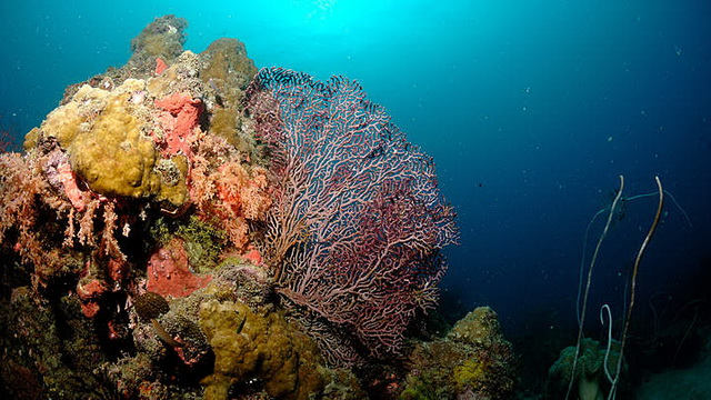 Wisata Taman Nasional Laut Kepulauan Seribu