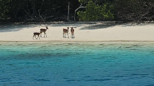 Wisata Taman Nasional Ujung Kulon